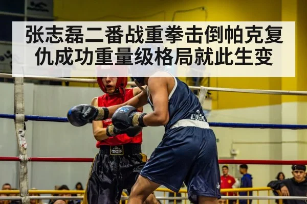 张志磊二番战重拳击倒帕克复仇成功重量级格局就此生变