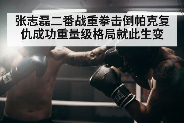 boxer throwing punch