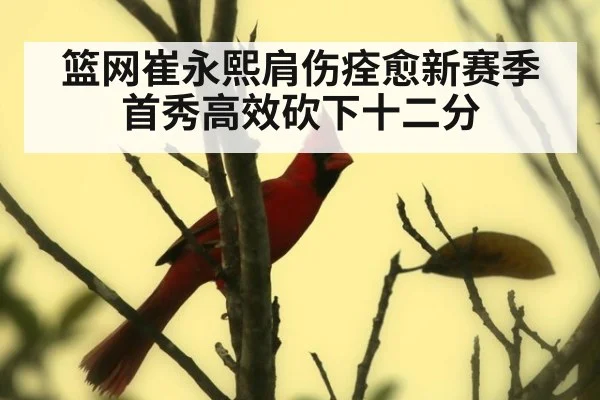 篮网崔永熙肩伤痊愈新赛季首秀高效砍下十二分